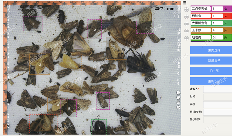 图像识别提高虫害识别精准性