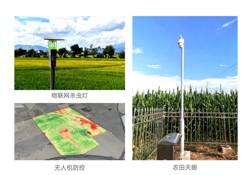 生态保护