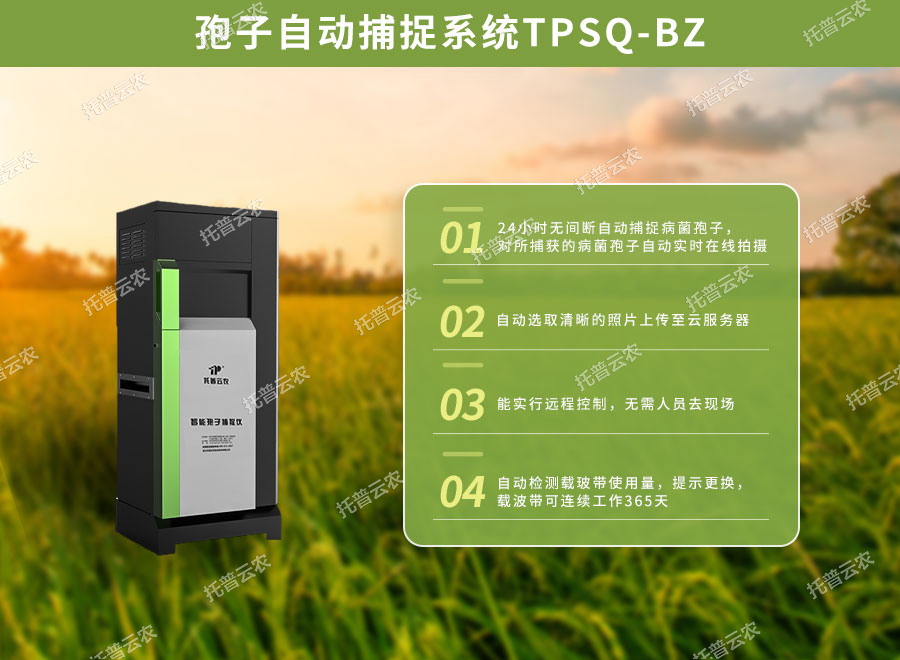 1-210Q315553LR.jpg